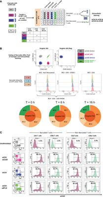 A novel mass cytometry protocol optimized for immunophenotyping of low-frequency antigen-specific T cells